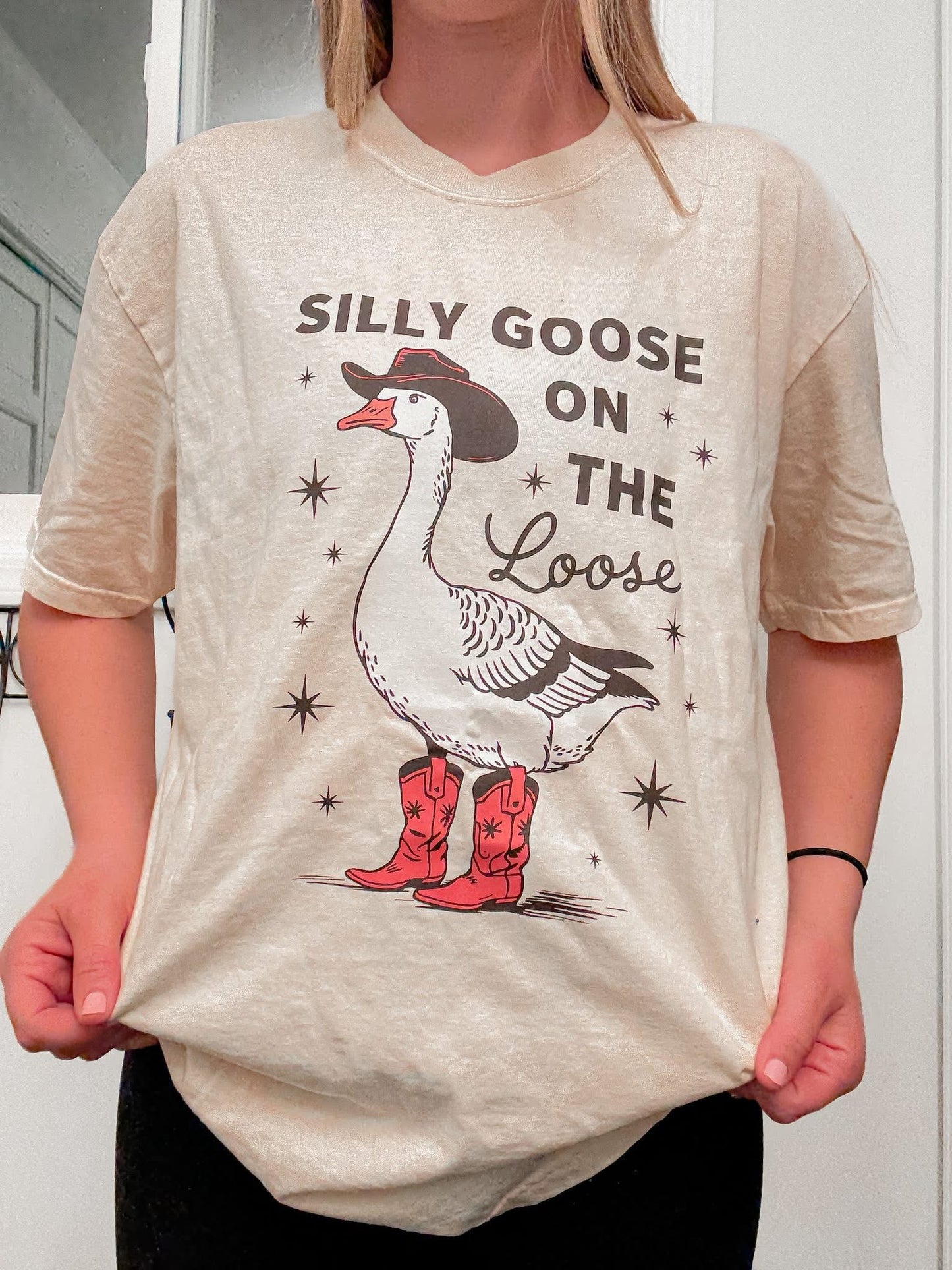 Silly goose on the loose
