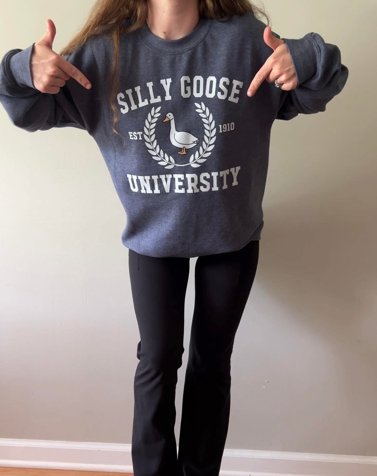 Silly goose university