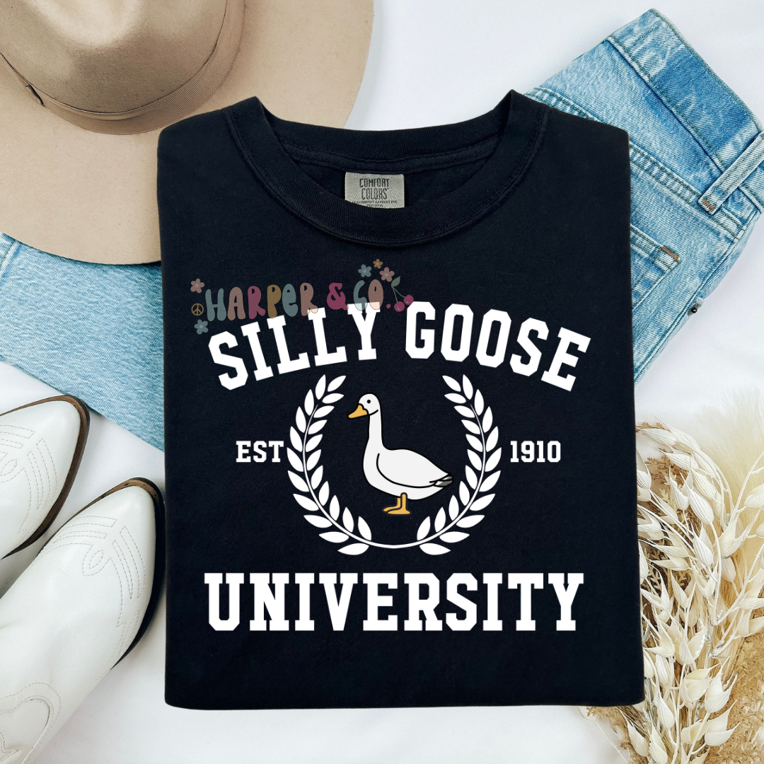 Silly goose university
