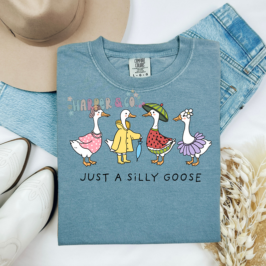 Just a silly goose